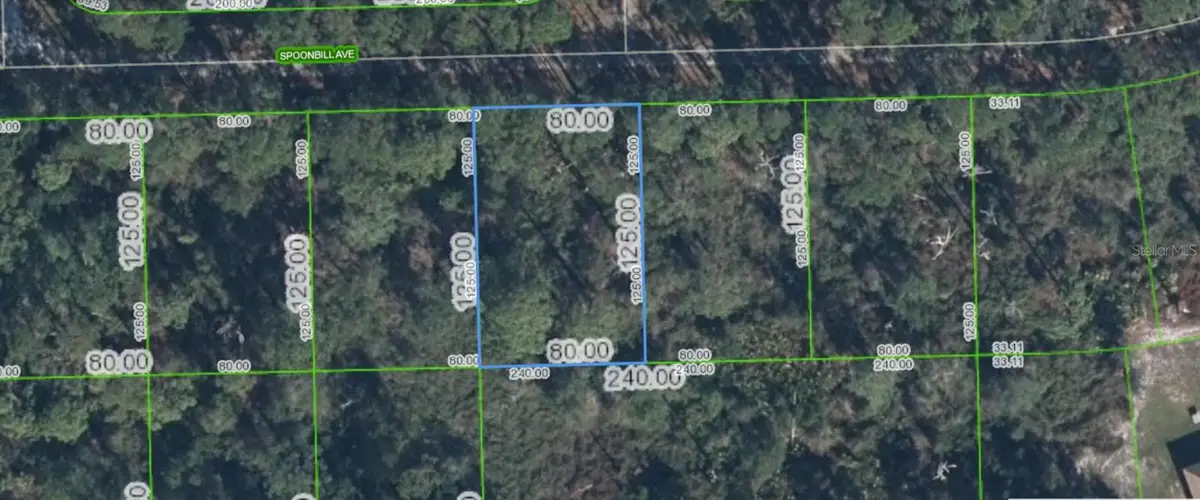 3224 Spoonbill Avenue, Lake Placid, FL 33852 - #1