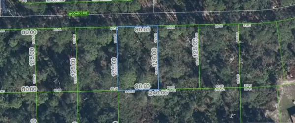 3224 Spoonbill Avenue, LAKE PLACID, FL 33852