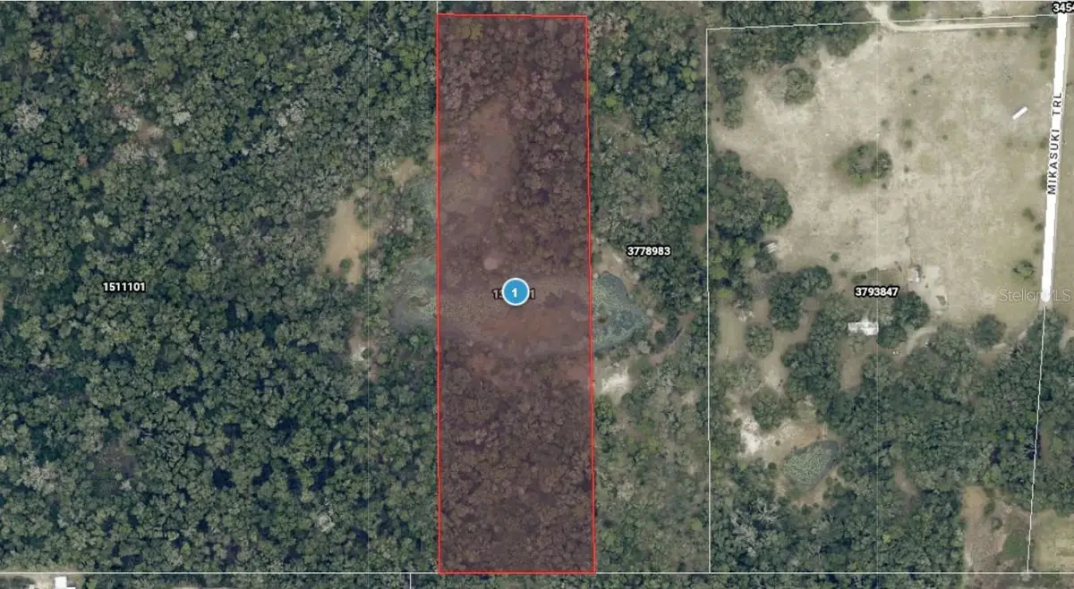 Mikasuki Trail, Paisley, FL 32767 - #1