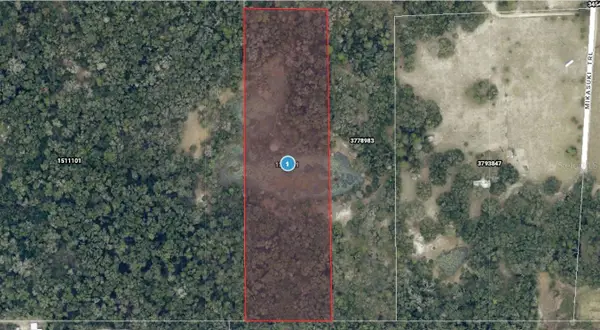 Mikasuki Trail, PAISLEY, FL 32767