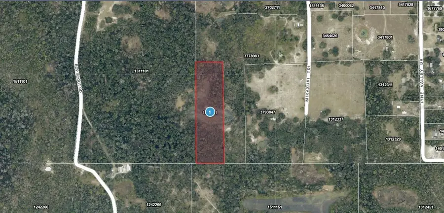 Mikasuki Trail, Paisley, FL 32767 - #2