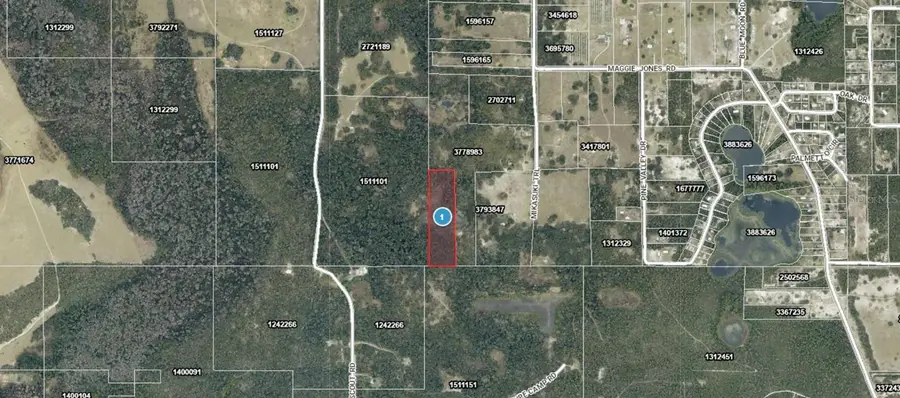 Mikasuki Trail, Paisley, FL 32767 - #3