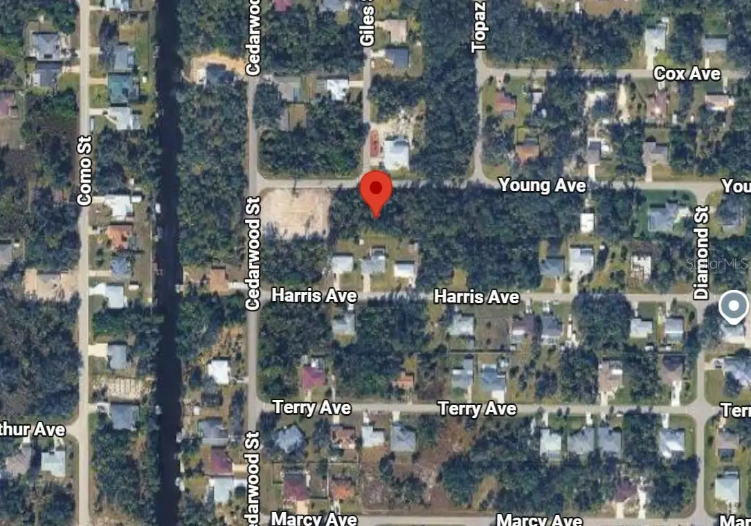 17319 Young Avenue, Port Charlotte, FL 33948 - #1