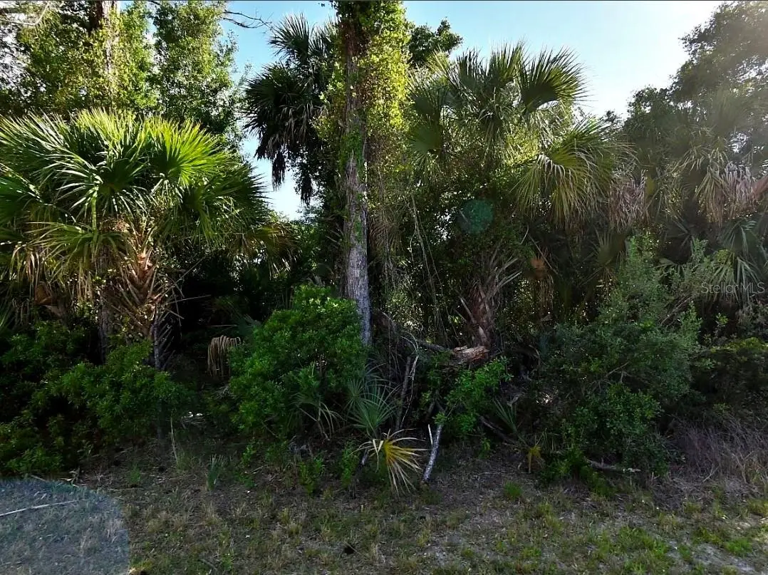 Wells Avenue, North Port, FL 34286 - #1