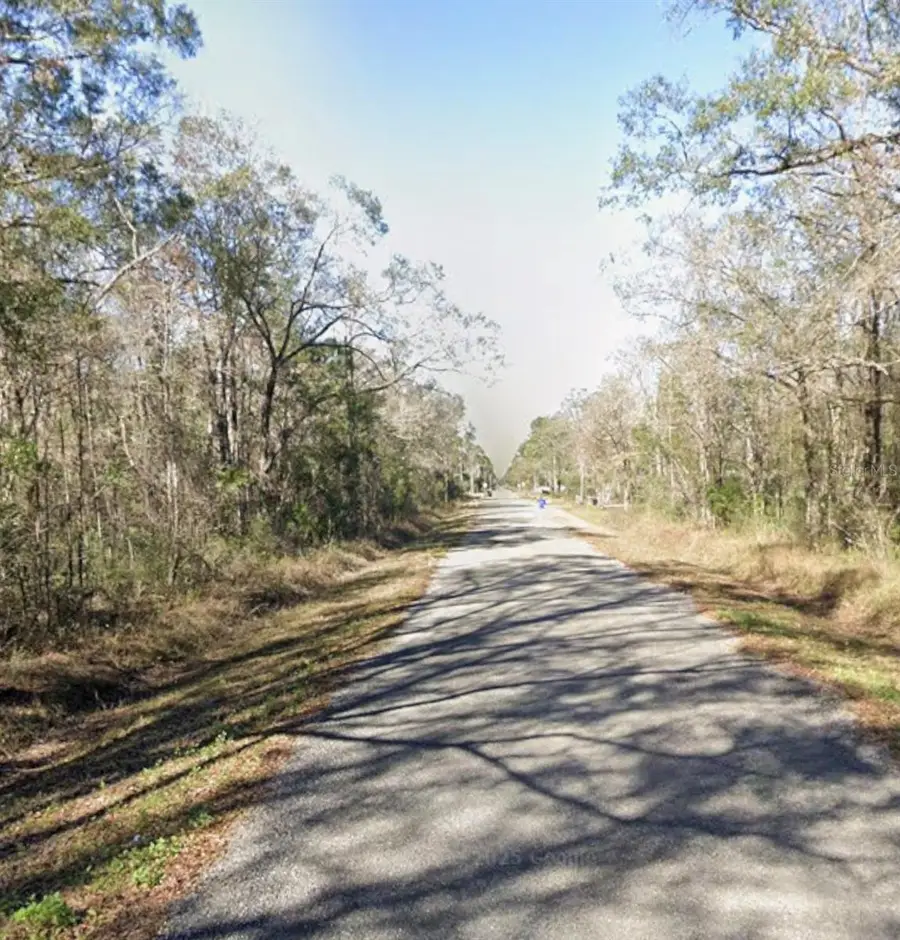 10045 Mcmahon Avenue, Hastings, FL 32145 - #2