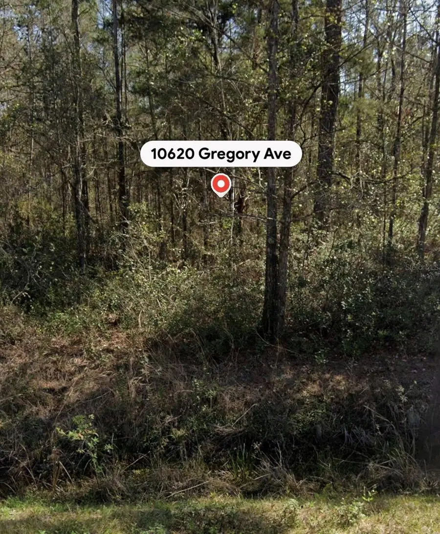 10620 Gregory Avenue, Hastings, FL 32145 - #3