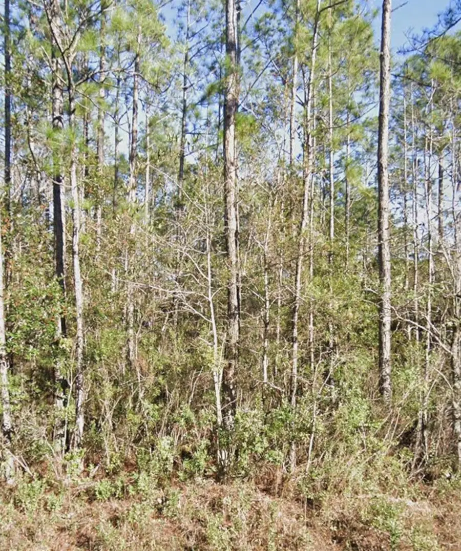10460 Dillon Avenue, Hastings, FL 32145 - #3