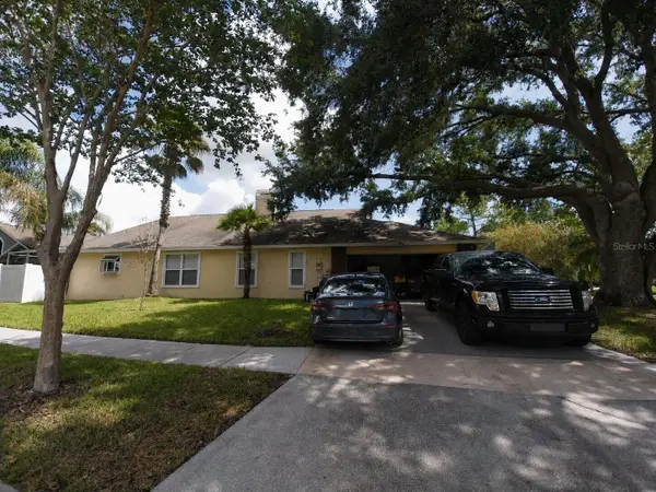 17502 Woodthrush Place, TAMPA, FL 33647