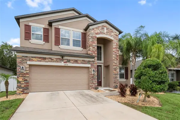 11438 Acacia Grove Lane, RIVERVIEW, FL 33579