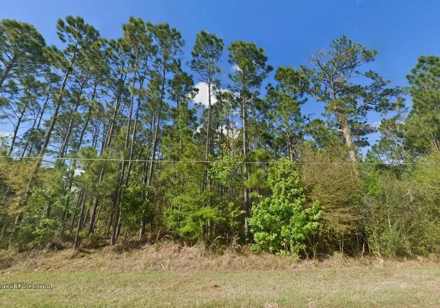 20607 Newby Street, Orlando, FL 32833 - #3
