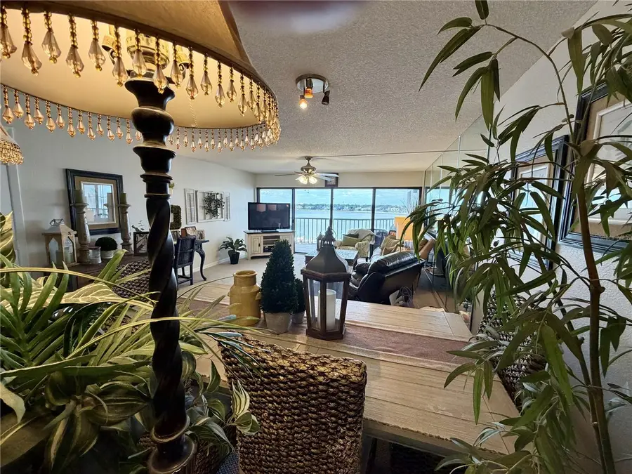 2 Adalia Avenue #405, Tampa, FL 33606 - #2