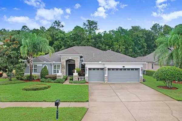 16116 Ivy Lake Drive, ODESSA, FL 33556