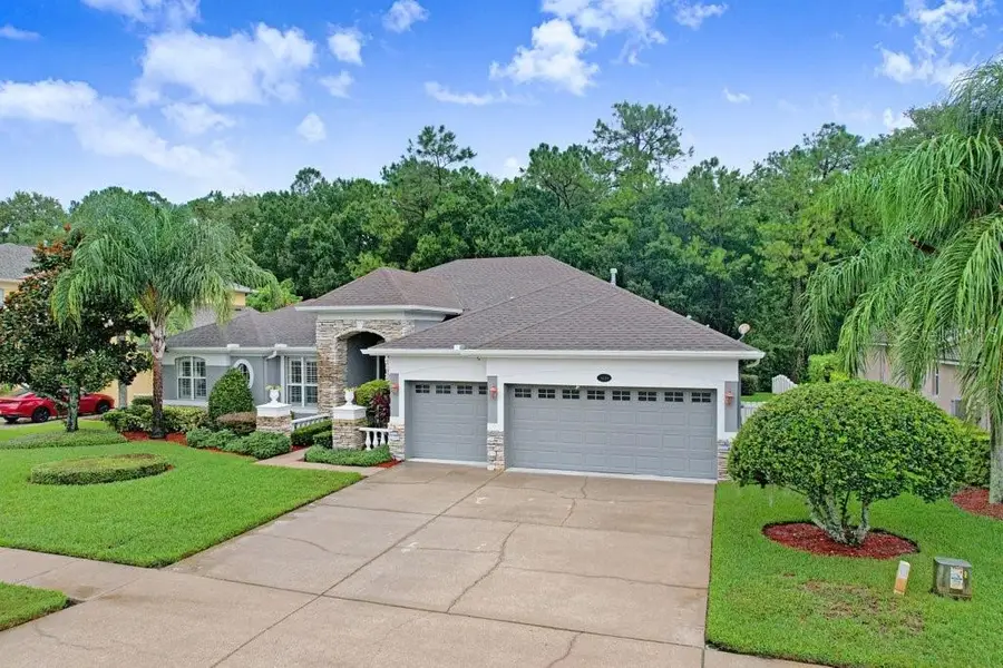 16116 Ivy Lake Drive, Odessa, FL 33556 - #2