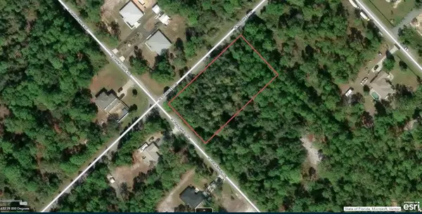 11645 W Dragonhead Drive, CRYSTAL RIVER, FL 34428