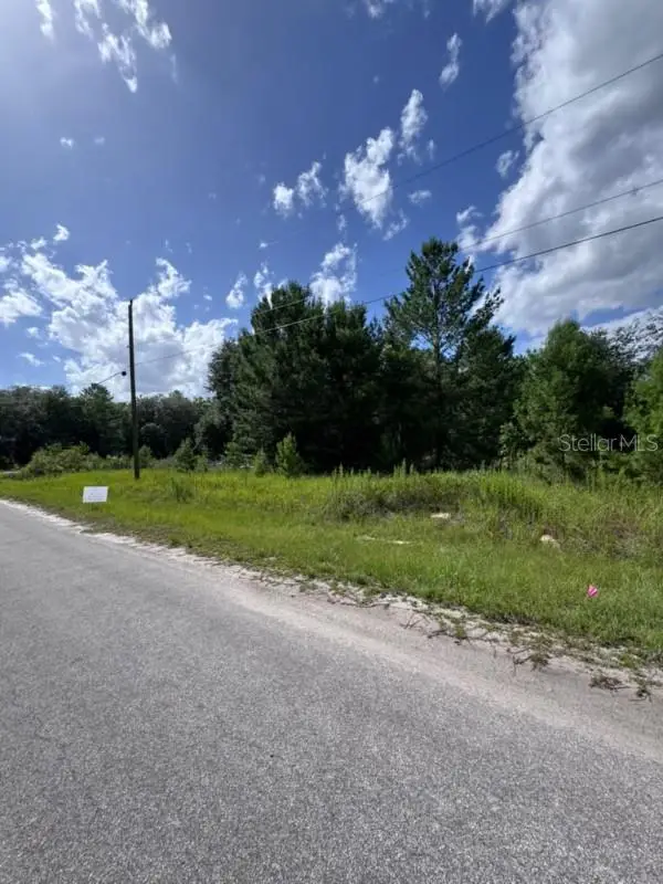 Malauka Radial, Ocklawaha, FL 32179 - #3