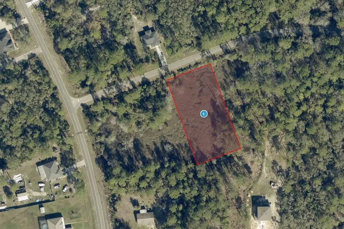 Quince Avenue, Eustis, FL 32736 - #1
