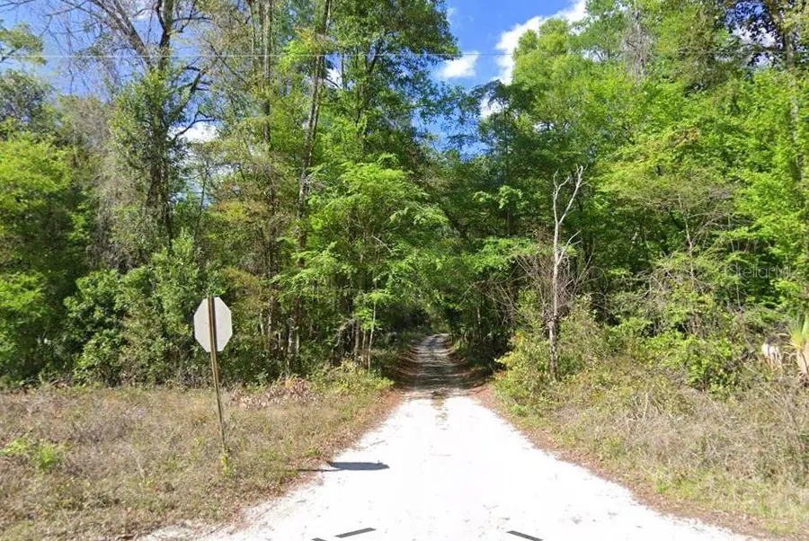 676th Lane, Old Town, FL 32680 - #3