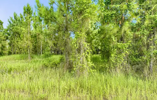 2268 Rolling Road, NORTH PORT, FL 34288