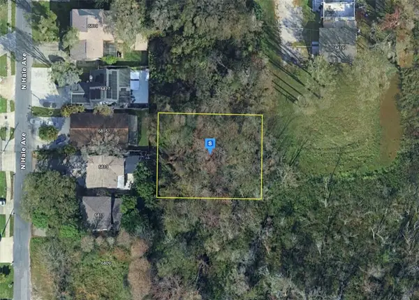 6810 N Blossom Avenue, TAMPA, FL 33614
