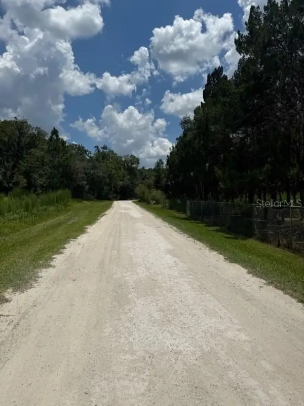 4543 Cobb Road, Land O Lakes, FL 34638 - #1