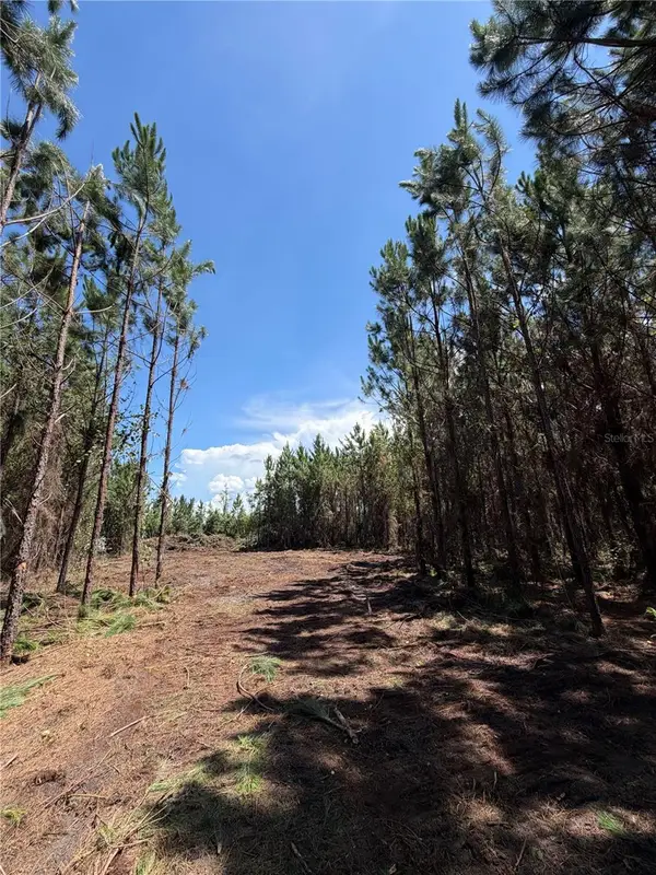 Arnold Rhoden Rd, SANDERSON, FL 32087