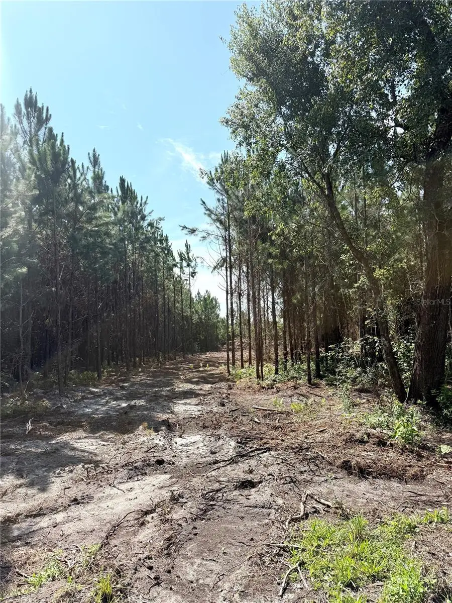 Arnold Rhoden Rd, Sanderson, FL 32087 - #3