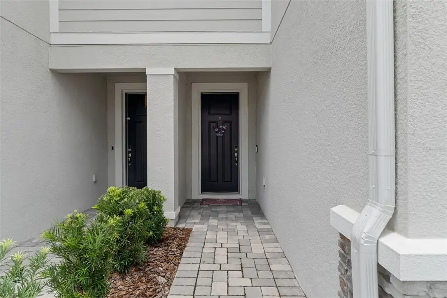 31449 Woodland Race Loop, Wesley Chapel, FL 33545 - #2