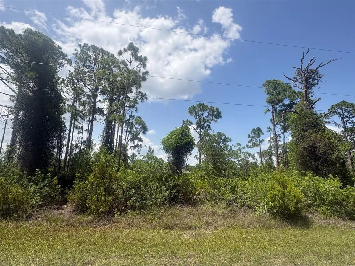 14200 Naylor Avenue, Port Charlotte, FL 33981 - #1