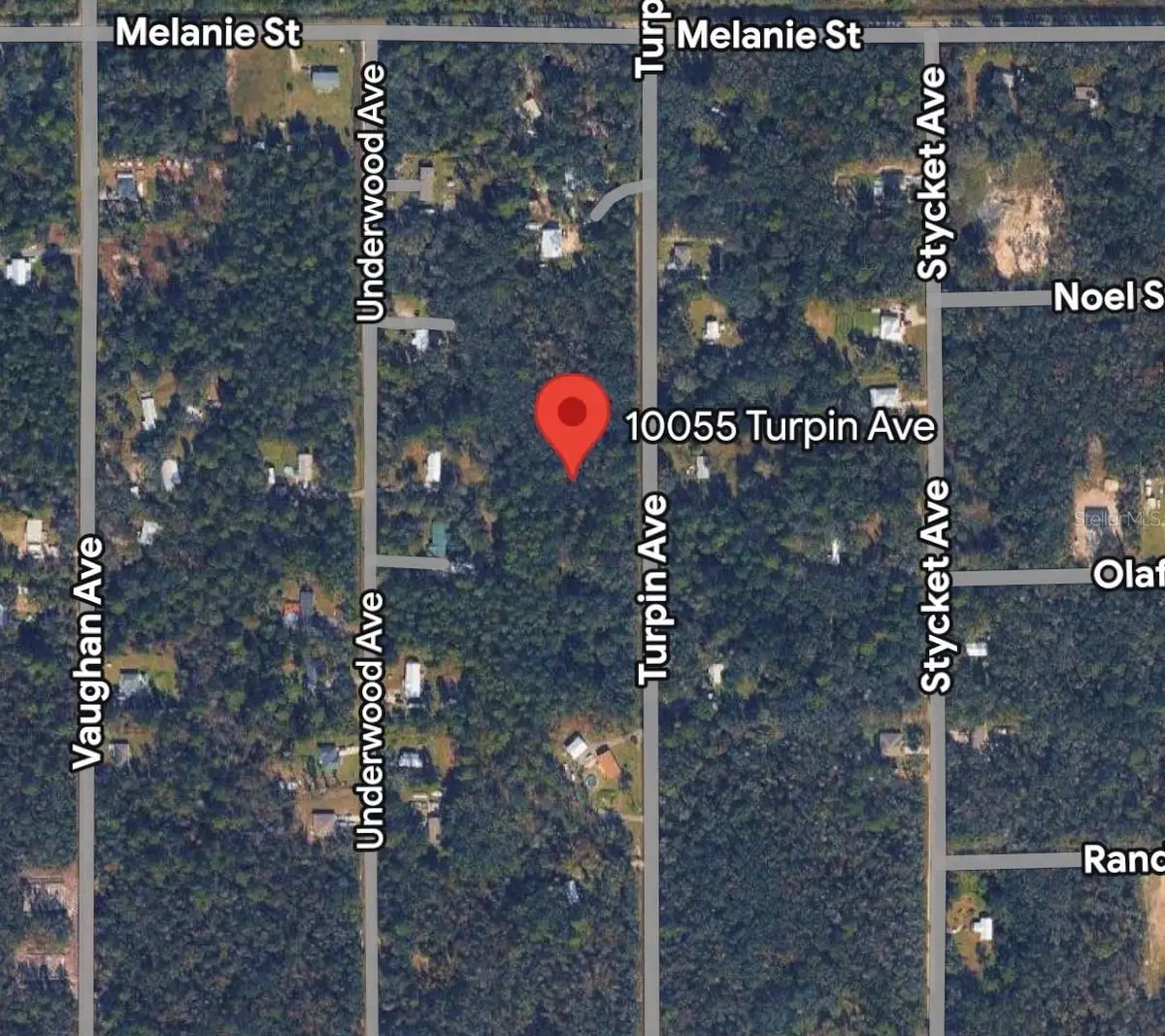 10055 Turpin Avenue, Hastings, FL 32145 - #1