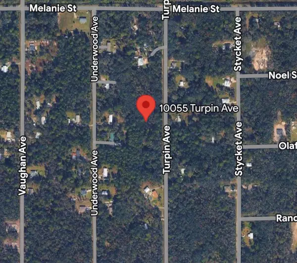10055 Turpin Avenue, HASTINGS, FL 32145