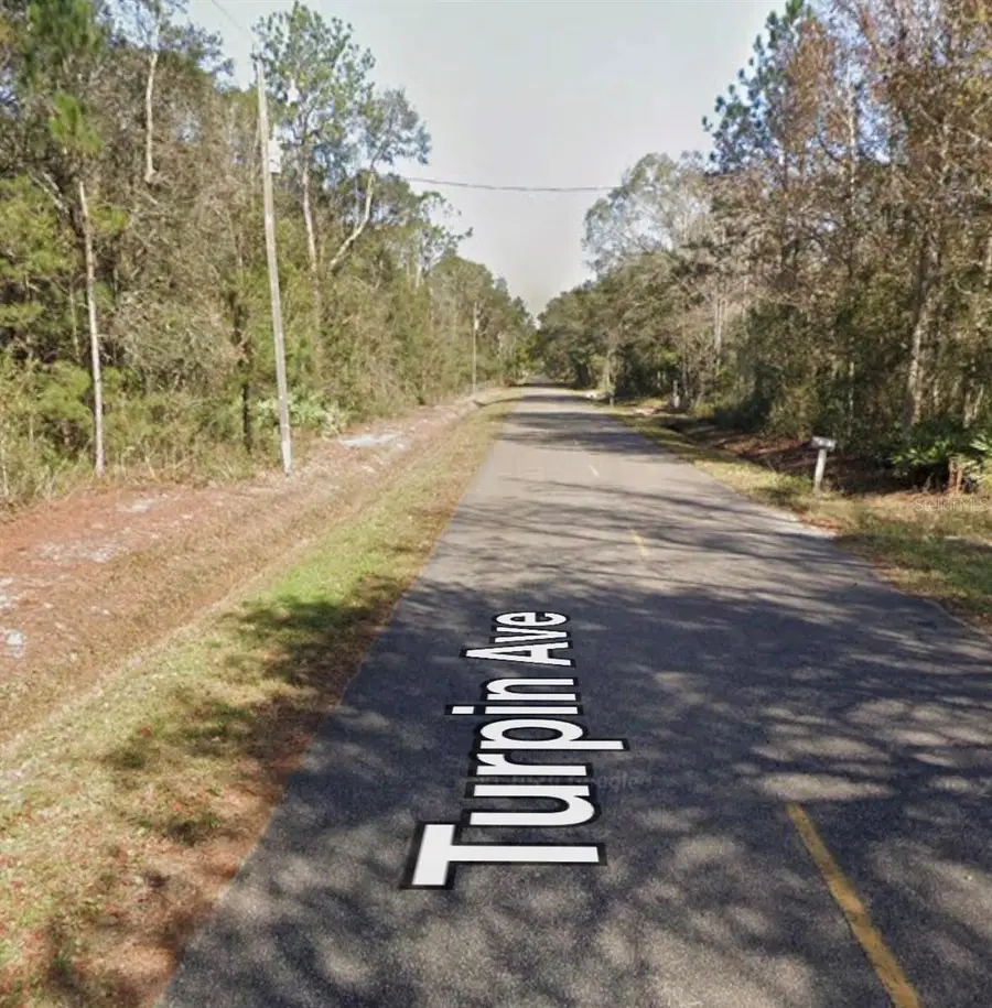 10055 Turpin Avenue, Hastings, FL 32145 - #3