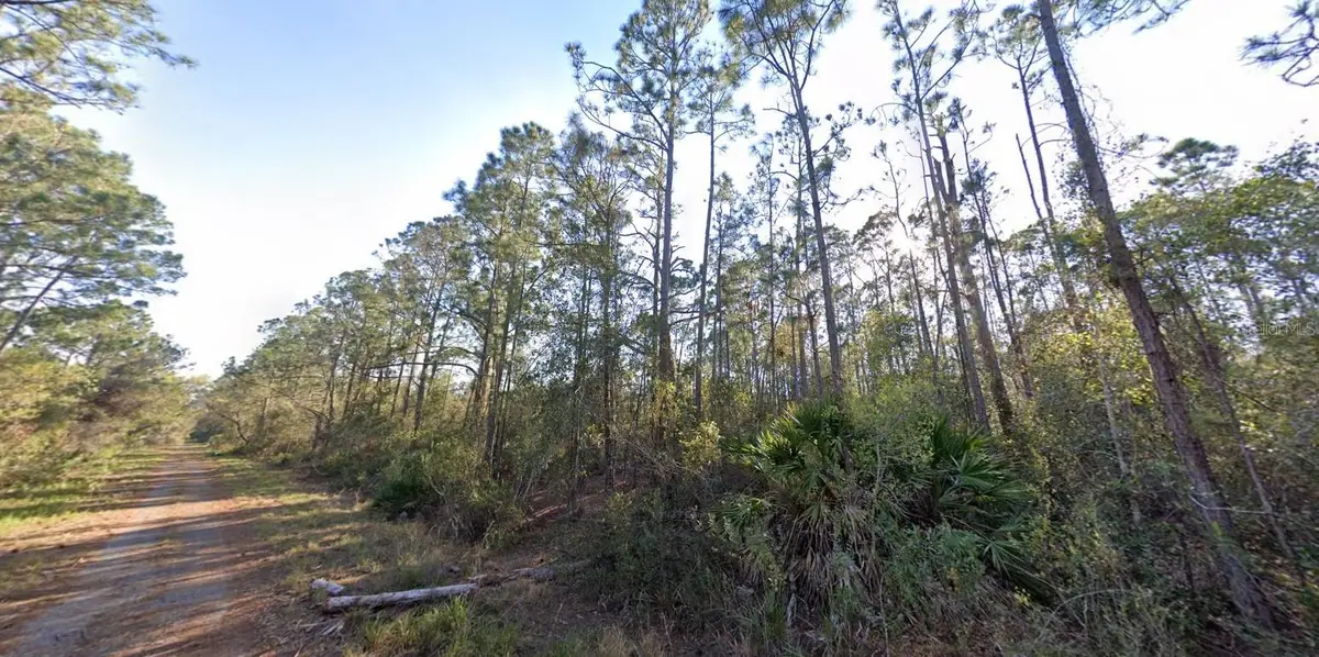 1054 Robin Street, Lake Placid, FL 33852 - #1