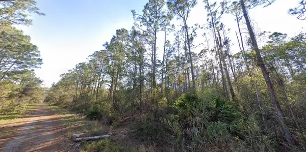 1054 Robin Street, LAKE PLACID, FL 33852