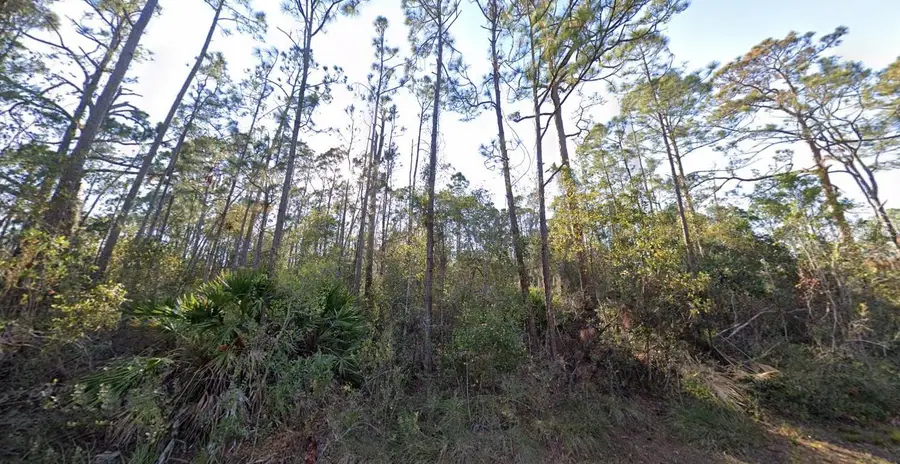 1054 Robin Street, Lake Placid, FL 33852 - #3