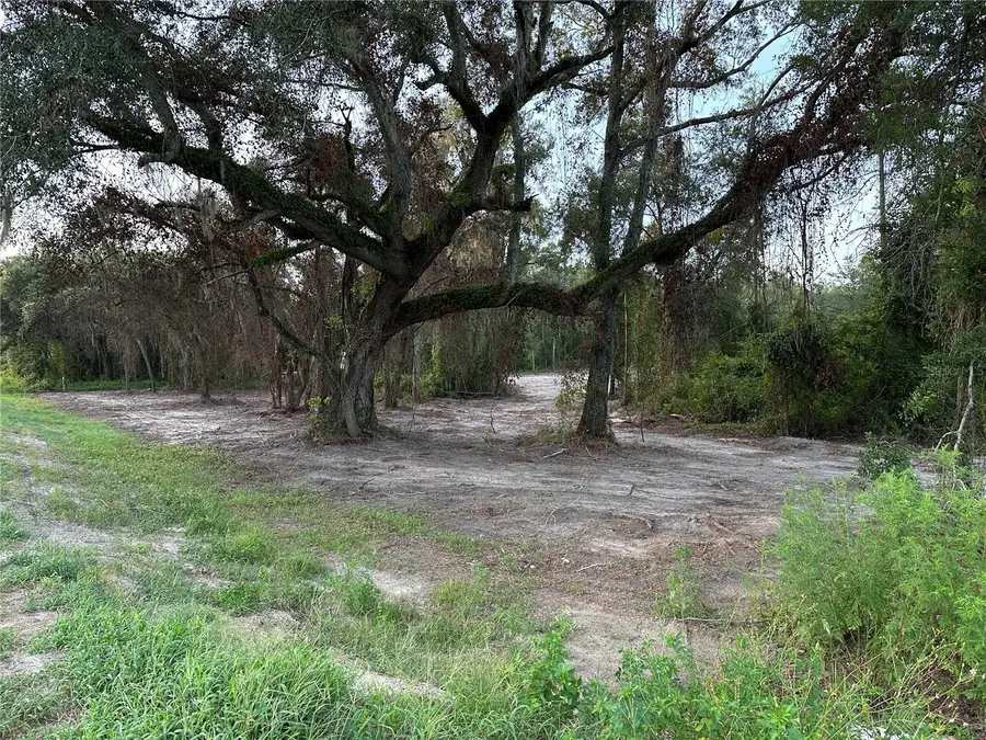 Cr 49, Live Oak, FL 32060 - #3