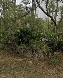 Address Withheld By Seller, INTERLACHEN, FL 32148
