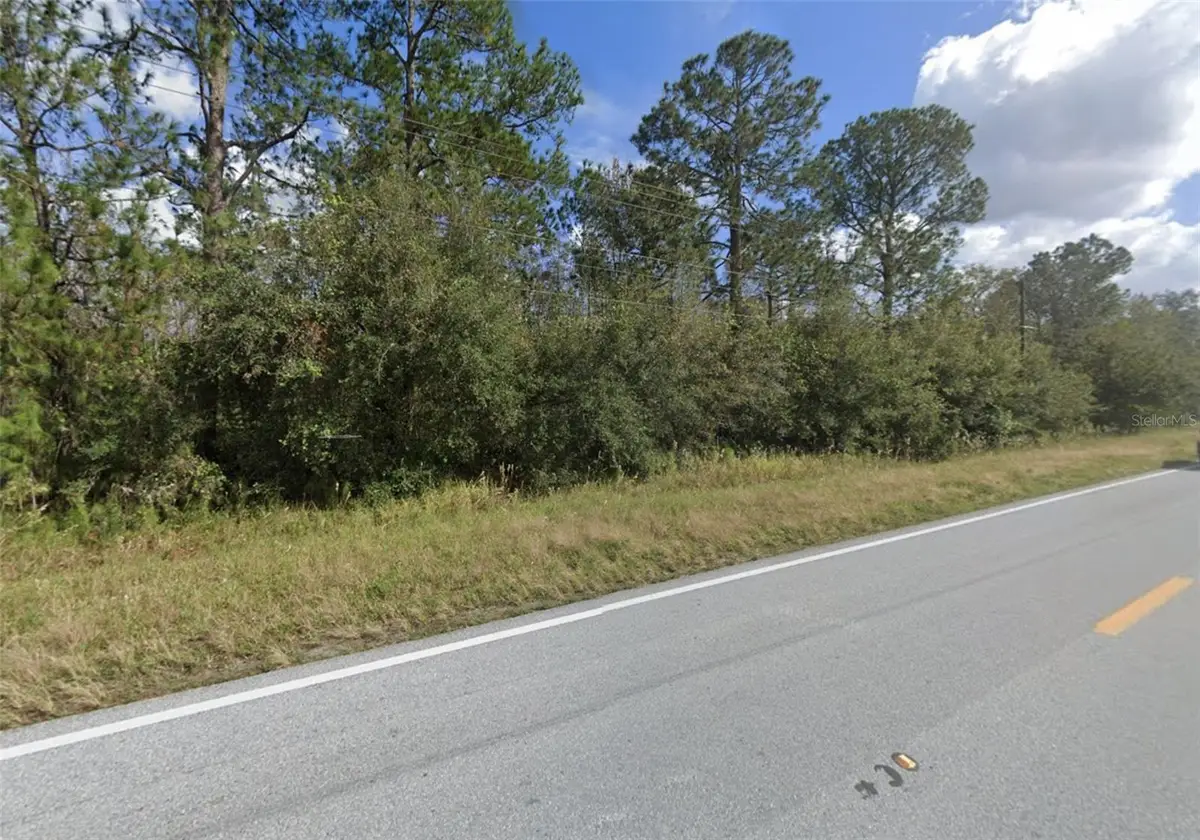 Old Grade Road, Polk City, FL 33868 - #1