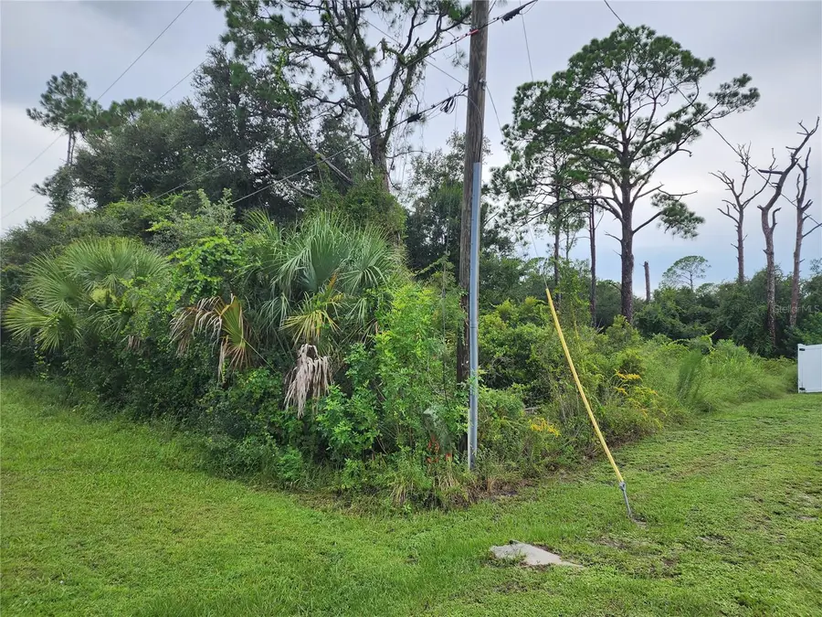 Hornbuckle Boulevard, North Port, FL 34291 - #2