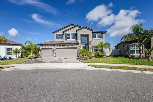 3195 King Fern Drive, WIMAUMA, FL 33598