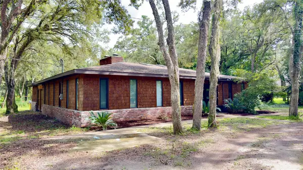 34146 Umbrella Rock Drive, WEBSTER, FL 33597