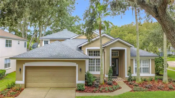 5846 Bent Grass Drive, VALRICO, FL 33596