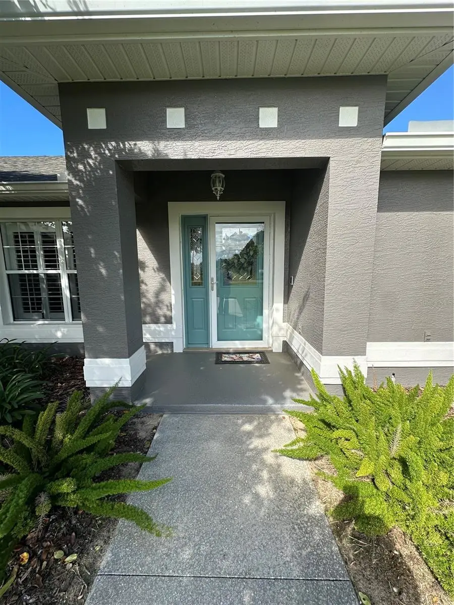 417 Anderson Drive, Tavares, FL 32778 - #3
