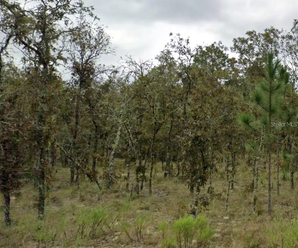 Ne 11th Street, Williston, FL 32696 - #1