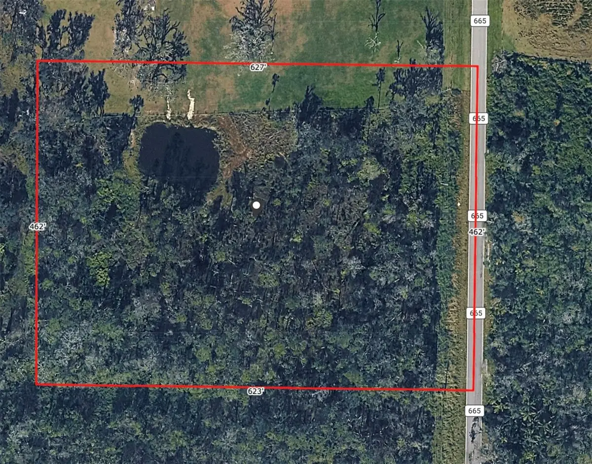 Cr 665, Ona, FL 33865 - #1