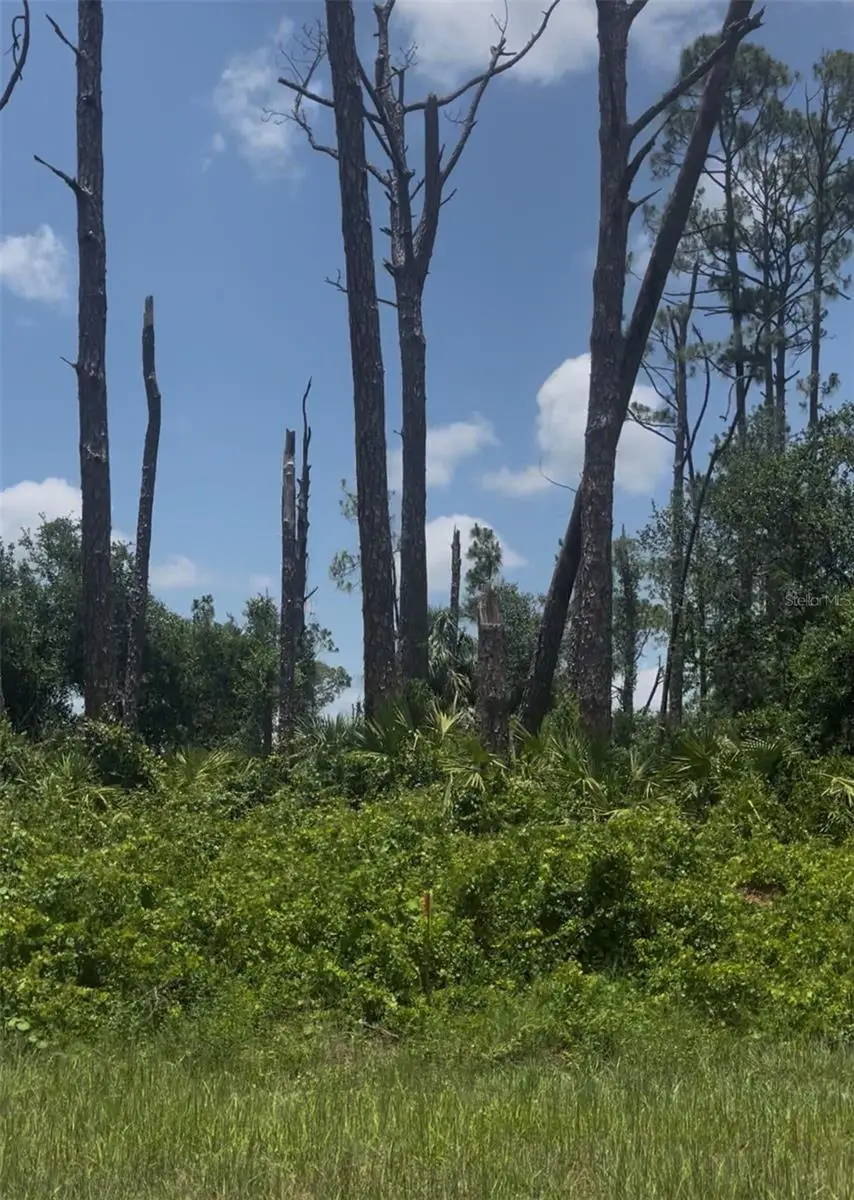 Tepee Avenue, North Port, FL 34291 - #1