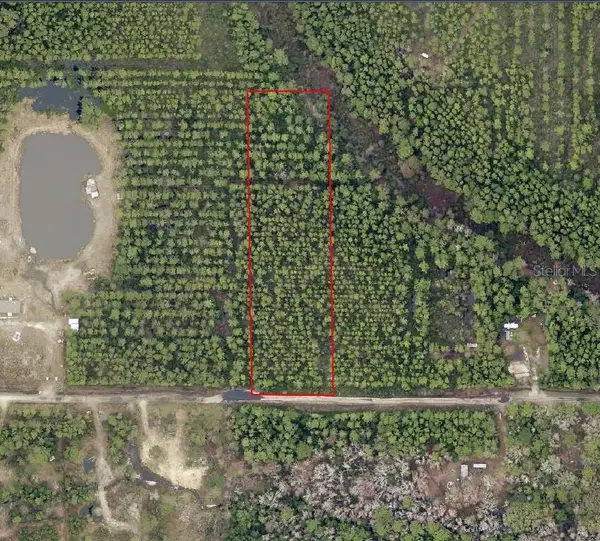 NE 215th Street, FORT MC COY, FL 32134