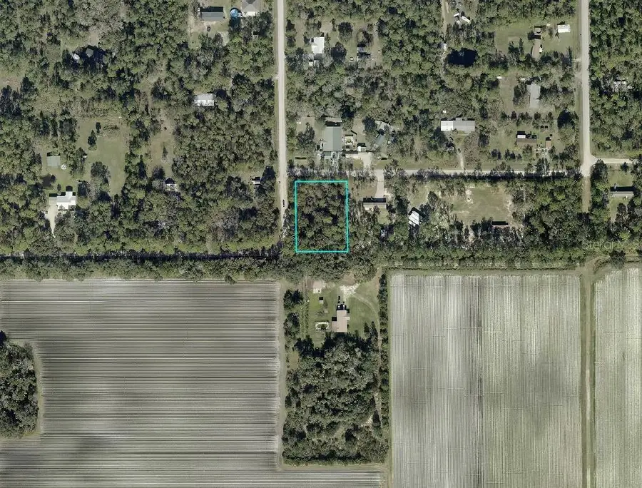 5131 Pecan Avenue, Bunnell, FL 32110 - #2