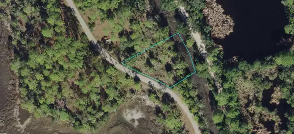 00-00-121-274-11968-A15 Fiddler Terrace, CRAWFORDVILLE, FL 32327