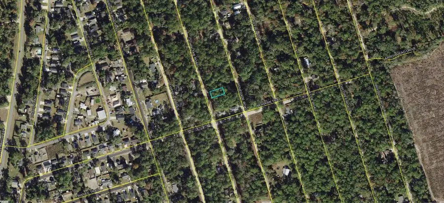 00-00-035-008-07417-000 Choctaw Road, Crawfordville, FL 32327 - #3
