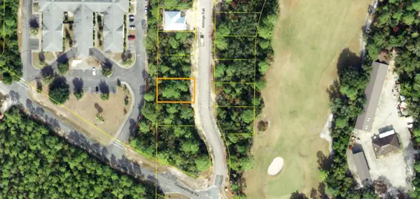 111 Anhinga Trail, CARRABELLE, FL 32322
